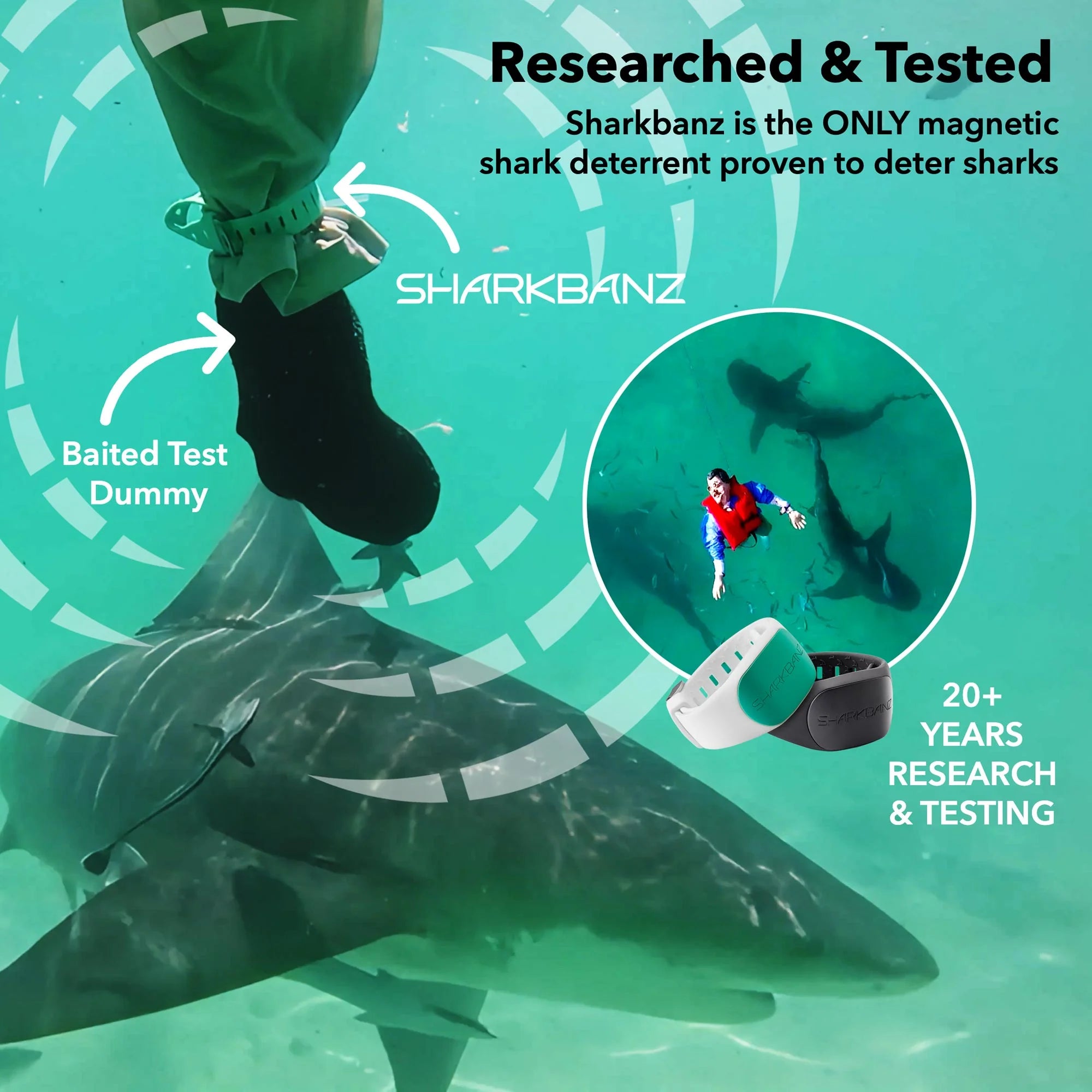 Advertisement for Sharkbanz magnetic shark deterrent with a person in a wetsuit and baited test dummy underwater.