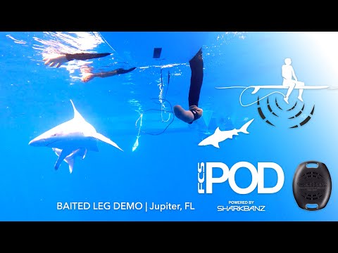 Video showcasing and explaining FCS x Sharkbanz POD and Sharkbanz wrist bands shark deterrent devices